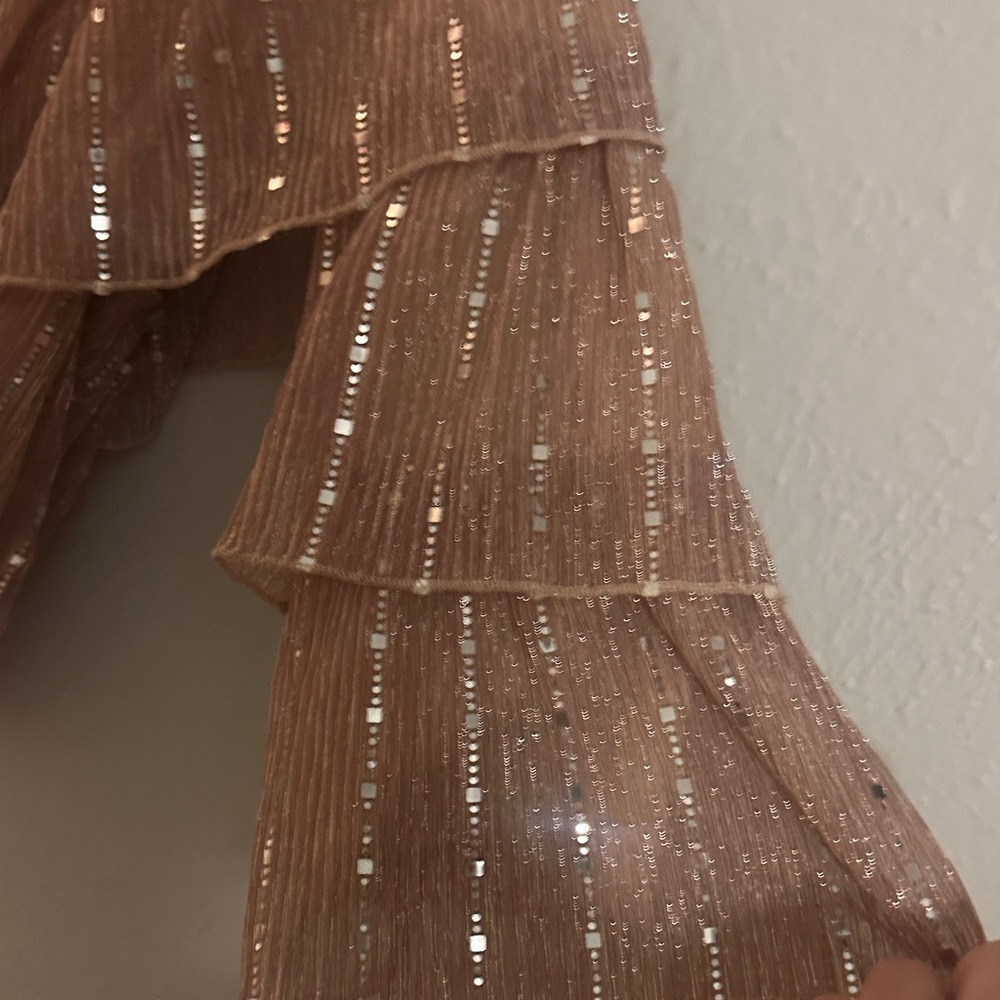 Fashion Nova Sequin Ruffle Blouse - Brown - Picture 7 of 7